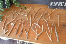 流木販売 流木小枝セット