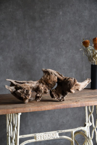 流木販売 中型サイズ