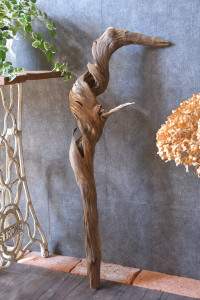 流木棒 長さ1m以内