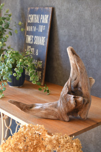 流木販売 かたまり流木