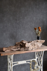 流木販売 大型サイズ