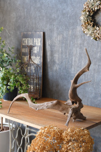 流木販売 根っこ流木