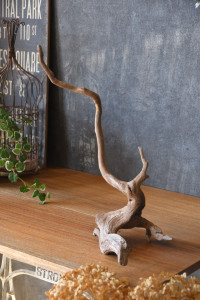 流木販売 根っこ流木