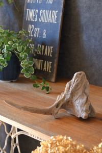 流木販売 かたまり流木