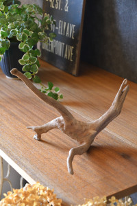 流木販売 根っこ流木