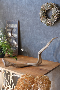 流木販売 根っこ流木