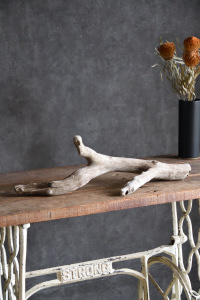 流木販売 小型サイズ