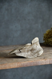 流木販売 小型サイズ