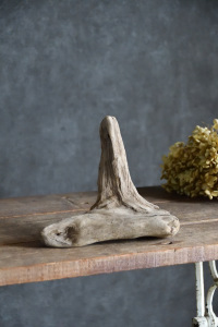 流木販売 小型サイズ