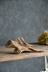 流木販売 小型サイズ