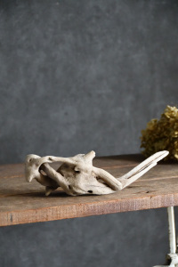 流木販売 小型サイズ