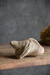 流木販売 小型サイズ