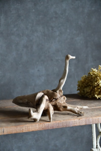 流木販売 小型サイズ