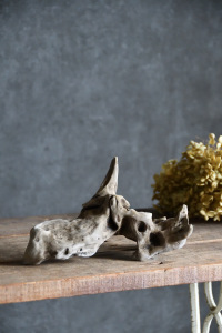 流木販売 小型サイズ