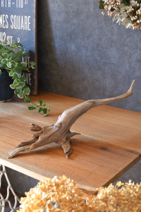 流木販売 かたまり流木