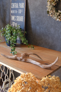 流木販売 かたまり流木