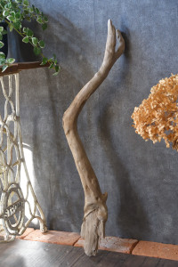 流木棒 長さ1m以内