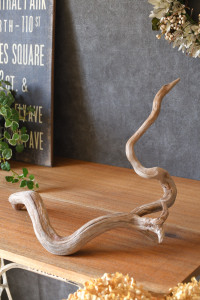 流木販売 根っこ流木