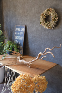 流木販売 根っこ流木