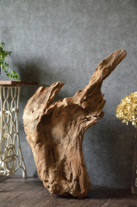 流木販売 特大サイズ