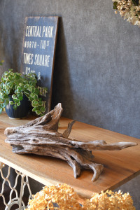 流木販売 根っこ流木