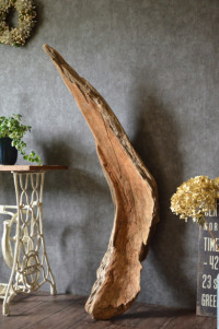 流木販売 特大サイズ