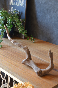 流木販売 かたまり流木