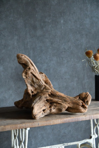 流木販売 大型サイズ