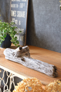 流木販売 かたまり流木