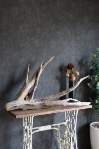 流木販売 特大サイズ