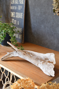 流木販売 かたまり流木