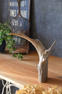 流木販売 かたまり流木