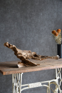 流木販売 中型サイズ