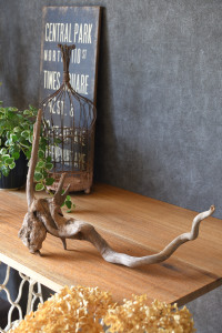 流木販売 根っこ流木