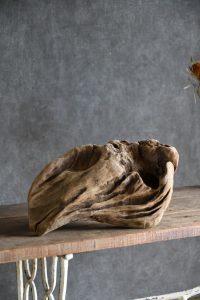 流木販売 中型サイズ