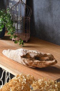 流木販売 かたまり流木