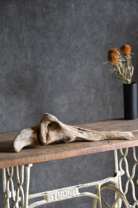 流木販売 中型サイズ