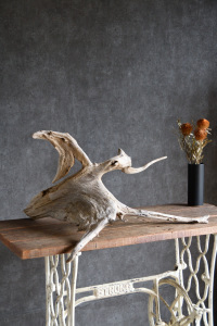 流木販売 大型サイズ