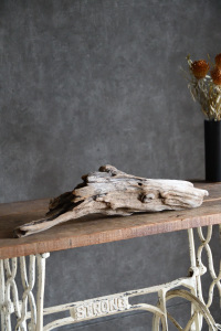 流木販売 中型サイズ