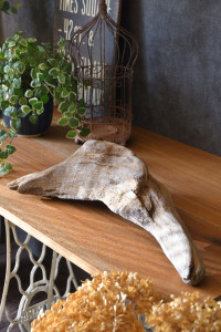 流木販売 かたまり流木