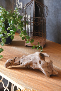 流木販売 かたまり流木