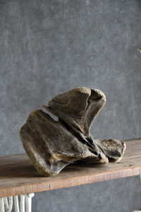 流木販売 中型サイズ