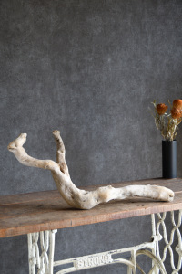 流木販売 中型サイズ