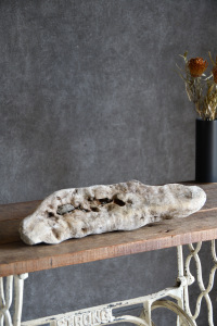 流木販売 小型サイズ