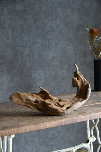 流木販売 小型サイズ