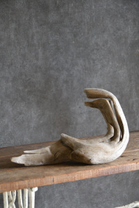 流木販売 小型サイズ