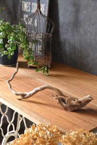 流木販売 根っこ流木