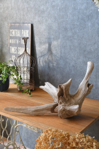 流木販売 根っこ流木