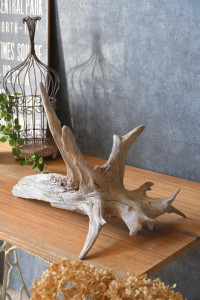 流木販売 根っこ流木