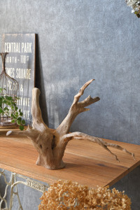 流木販売 根っこ流木